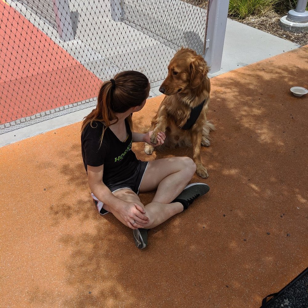 Meet your Posher, Sarah